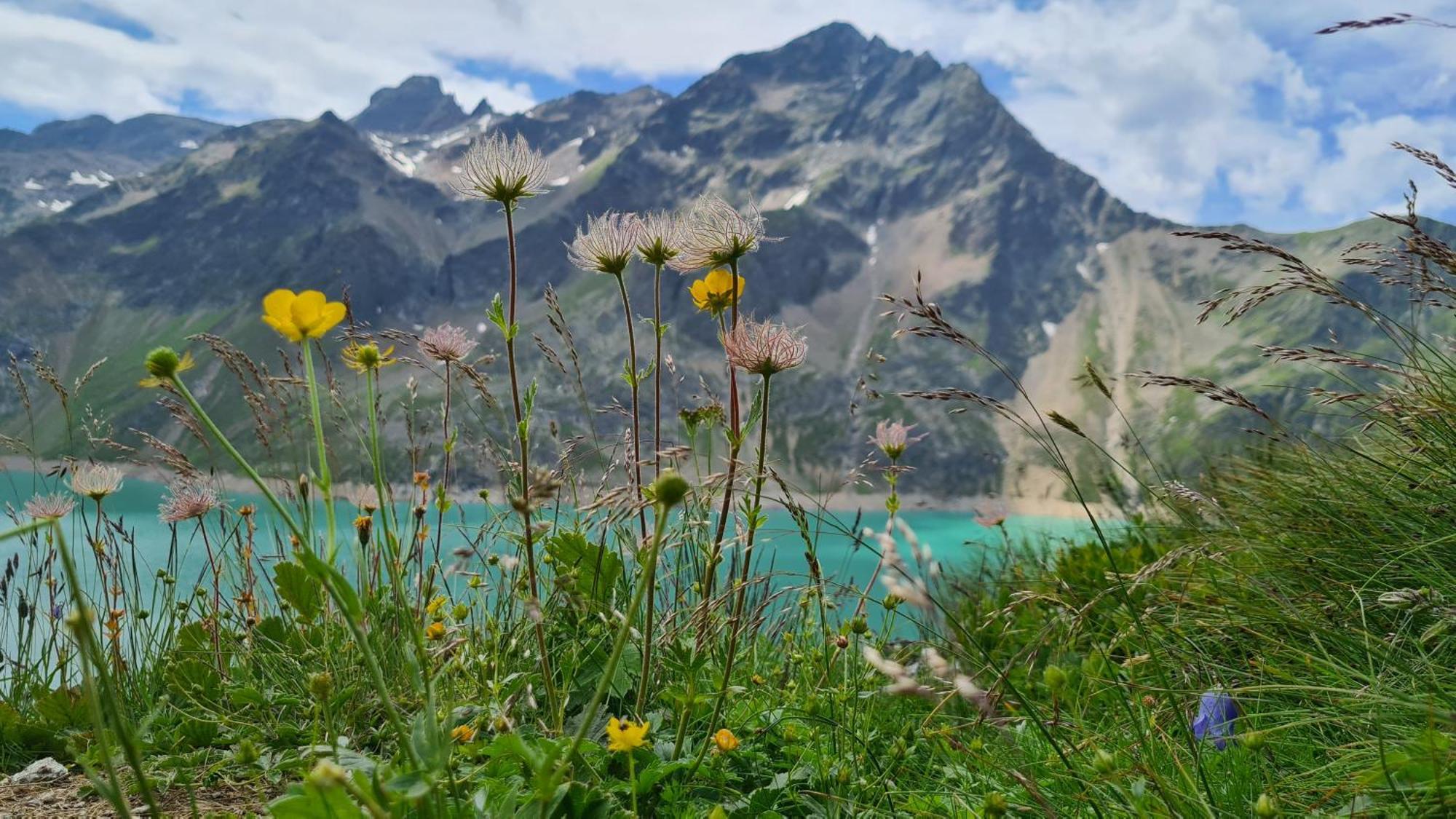 Gastehaus Landhaus Tyrol Hotel Gries im Sellrain Bagian luar foto