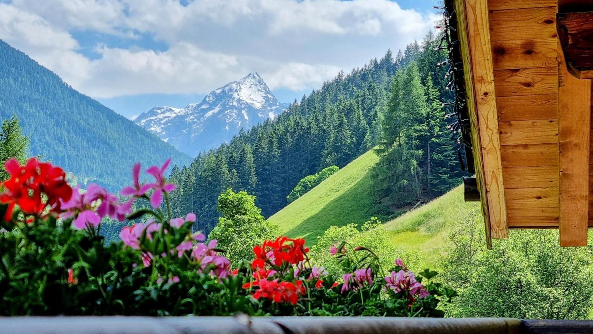 Gastehaus Landhaus Tyrol Hotel Gries im Sellrain Bagian luar foto